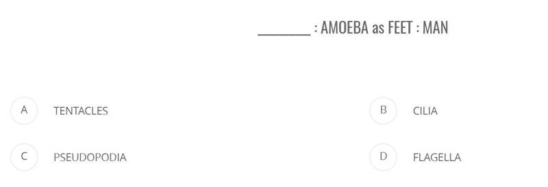 Answer answer answer answer-example-1