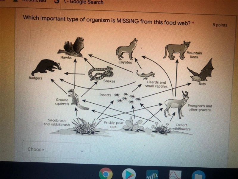 1/Producer 2/primary consumer 3/secondary consumer 4/predator 5/decomposer PLEASE-example-1