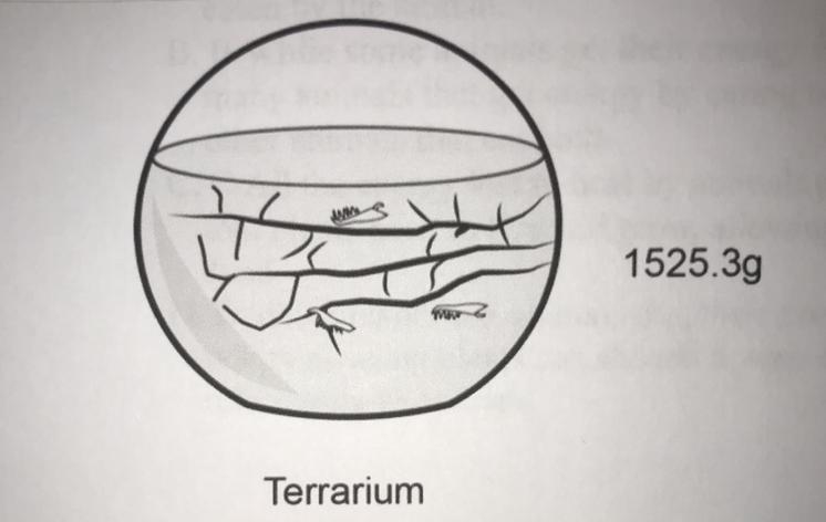 Joel has a terrarium. The terrarium is a sealed container with both plants and animals-example-1