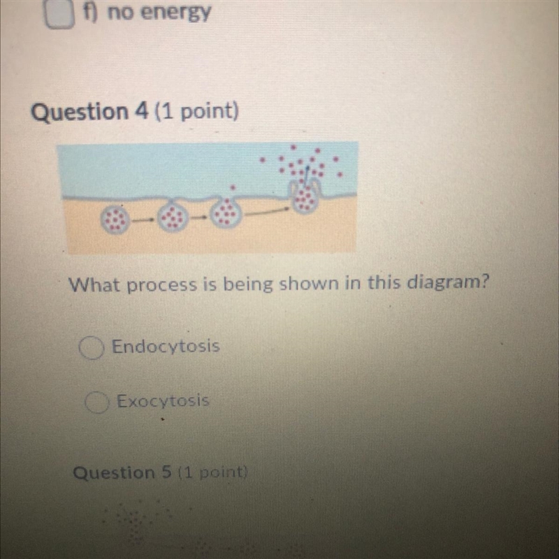 Question 4 (1 point) What process is being shown in this diagram? HELP ME!-example-1