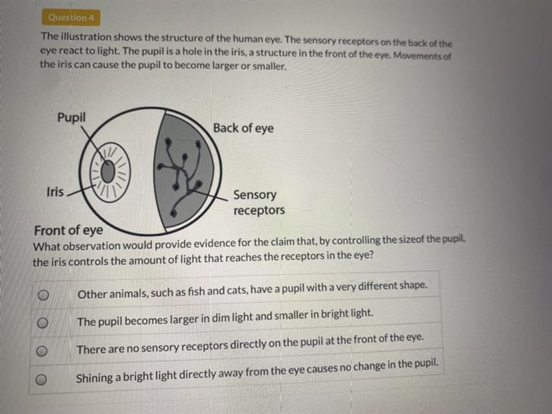 I really need the answer to this question! Please help!!!!-example-1