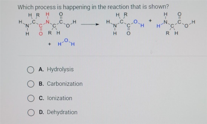 Which process is happening in the reaction that is shown? A. hydrolysis B. carbonization-example-1