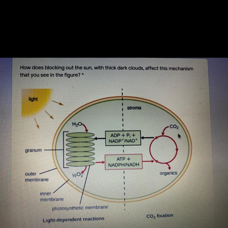 How does blocking out the sun with thick dark clouds affect this mechanism that you-example-1