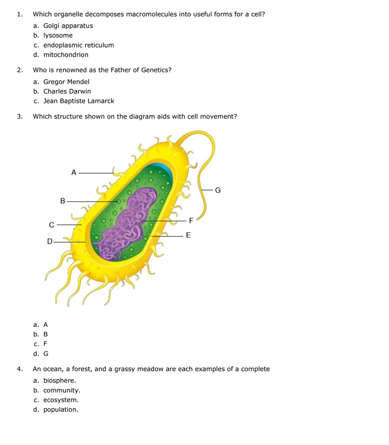 I need help please ASAP..-example-1