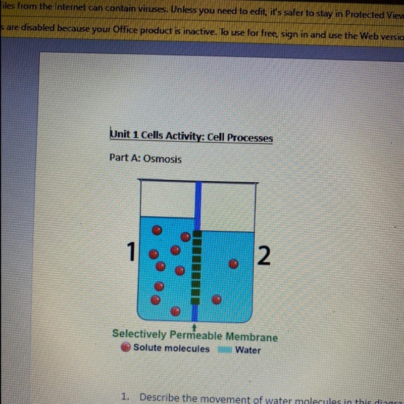 Describe the movement of water molecules in this diagram and identify the state of-example-1