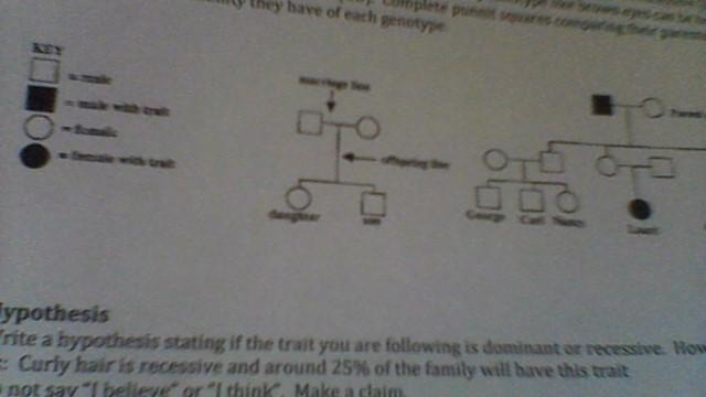 Sorry if it is blury please help and hurry-example-2