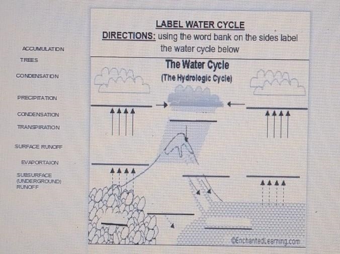 Label the water cycle​-example-1