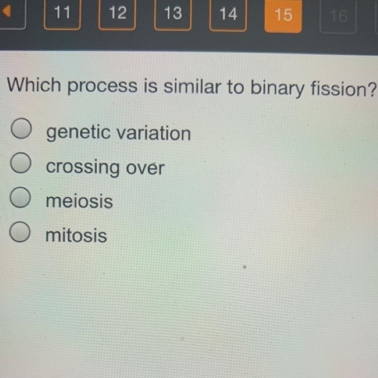 Which process is similar to binary fission?￼-example-1