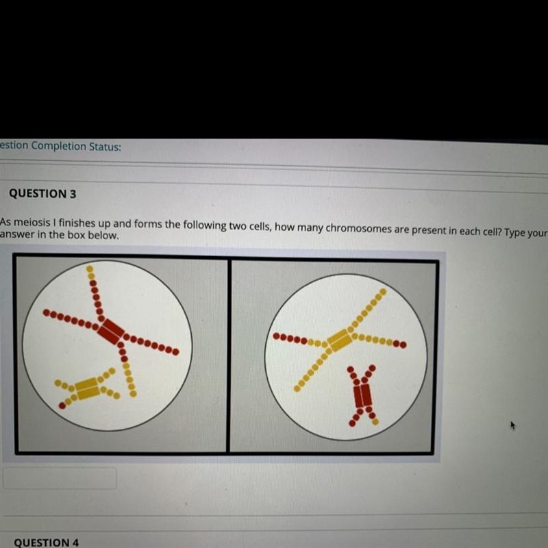 How many chromosomes are present in each cell? according to the picture-example-1