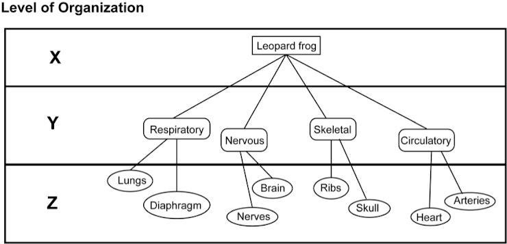 Which of the following terms would be an appropriate title for the level of complexity-example-1