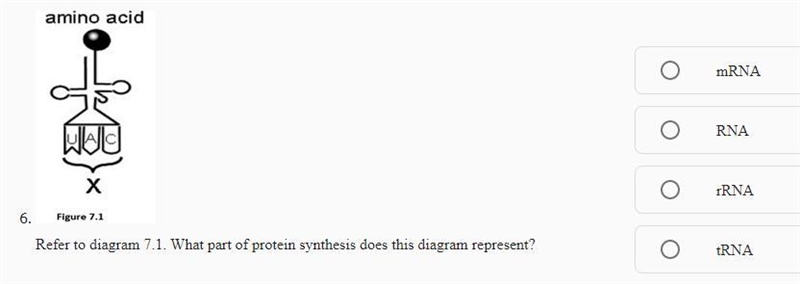 Rip for my bio grade :(-example-1