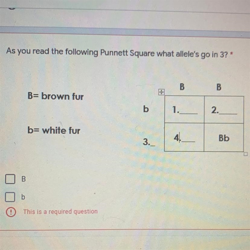 As you read the following Punnett Square what allele's go in 3? (Please help me answer-example-1