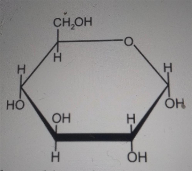 What Cellular Process breaks down this molecule into the energy-carrying molecule-example-1