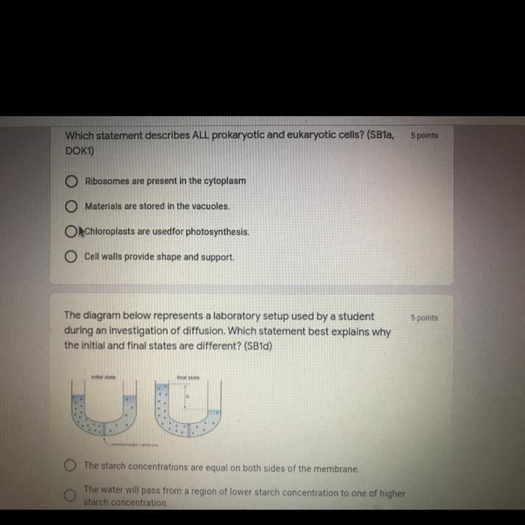 I need to know what prokaryotic and eukaryotic cells have in common-example-1