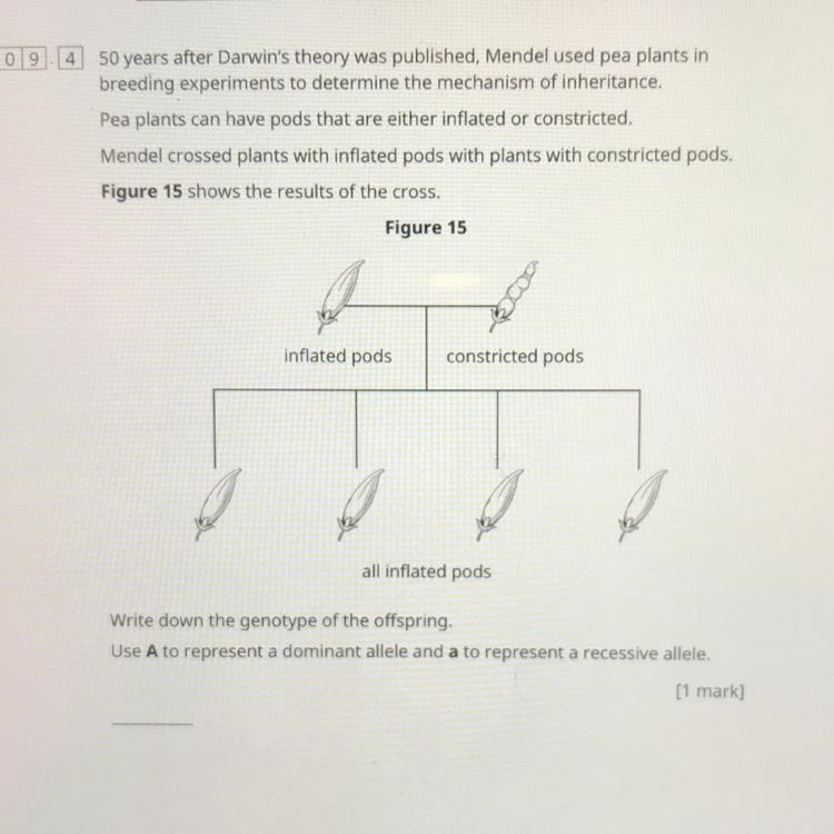 I really need help on this-example-1