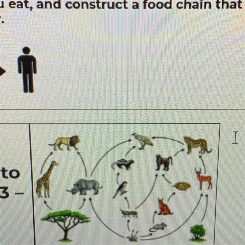 If grasshoppers were removed from this food web, which organism would suffer the most-example-1