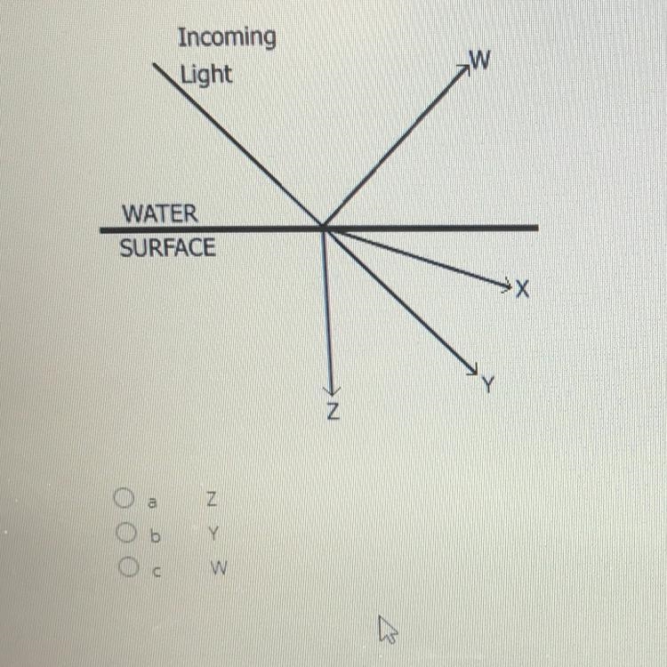 An incoming ray of light strikes the surface of a calm pool of water. Which letter-example-1