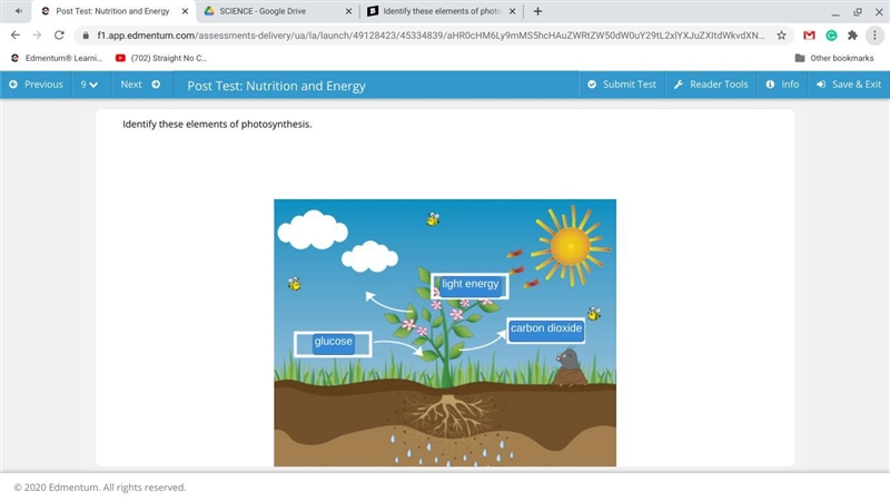 Identify these elements of photosynthesis.-example-1