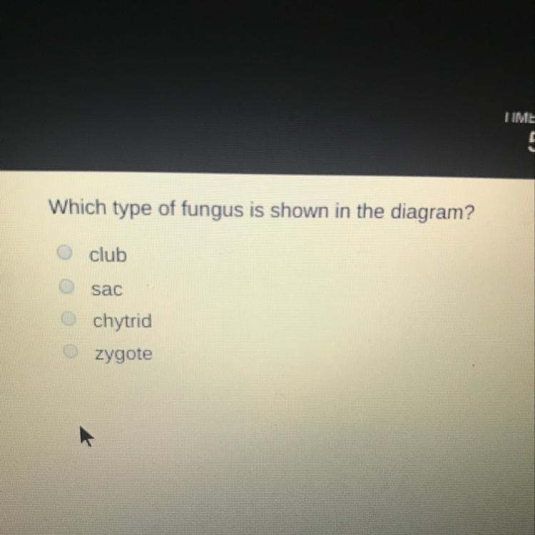 Which type of fungus is shown in the diagram ?-example-1