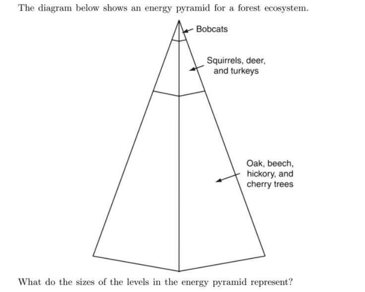 Biology Question! a)the amount of energy recycled by the organisms at each level b-example-1