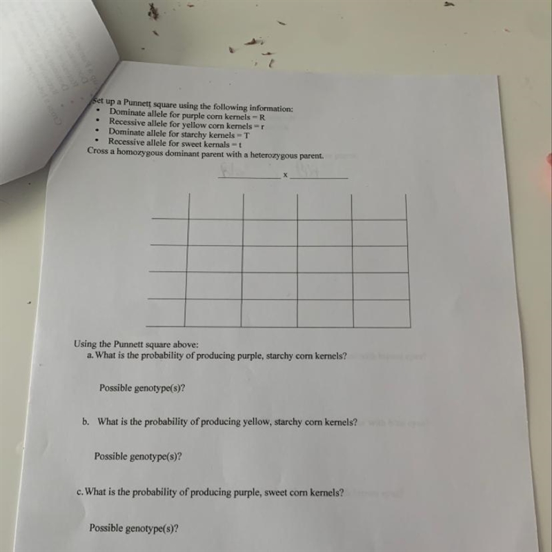 Punnet squares! Can anyone help I’m struggling!-example-1