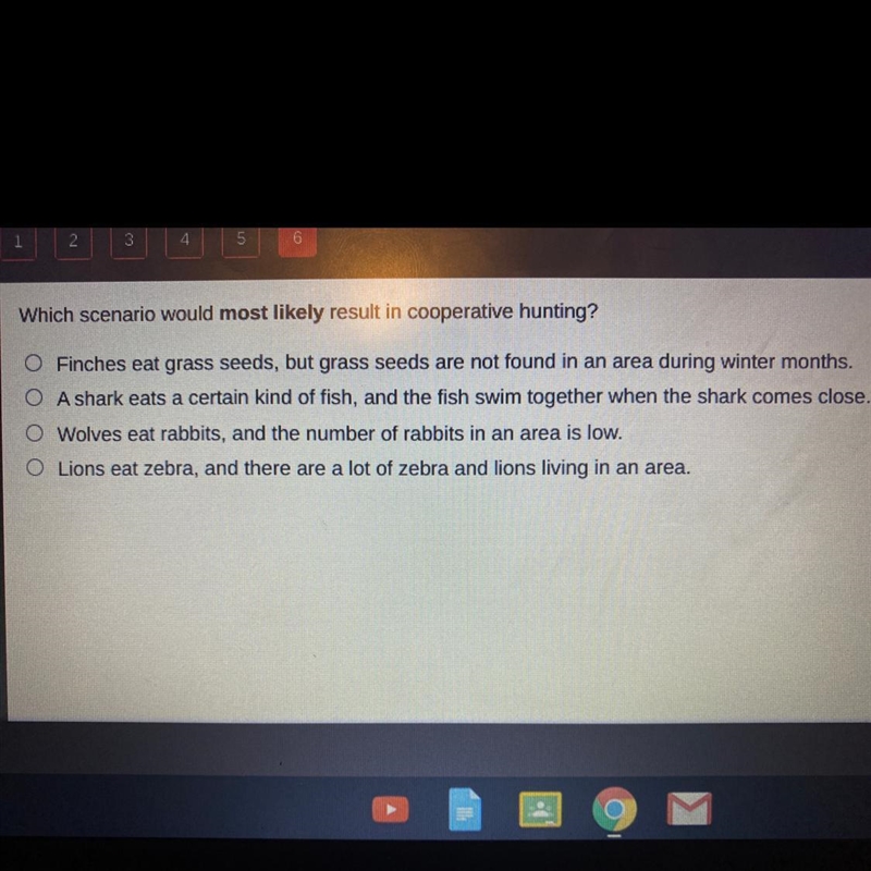 Which scenario would most likely result in cooperative hunting? Finches eat grass-example-1