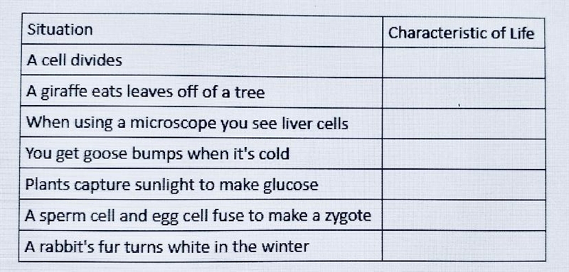 Characteristics of Life (question is in the picture)-example-1