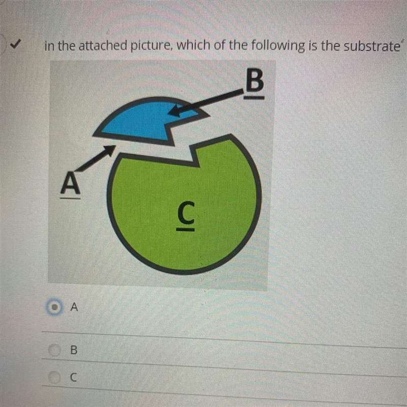 In the attached picture, which of the following is the substrate-example-1