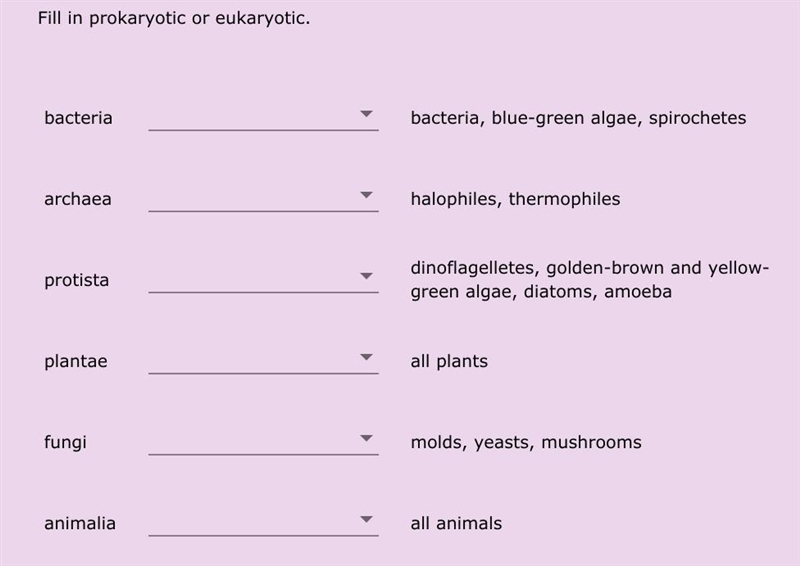 4) fill in the blanks with the following options: a) eukaryotic b) prokaryotic 1)bacteria-example-1