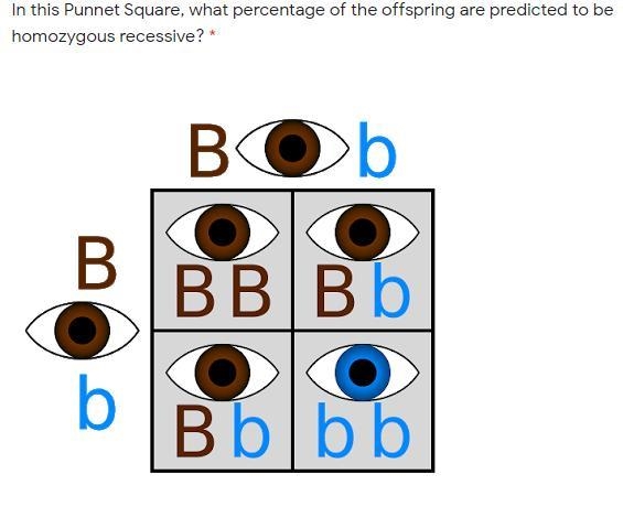 A. 25% B. 50% C. 75% D. 100%-example-1