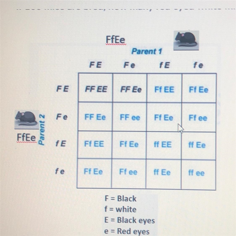 If 100 mice are bred, how many red eyed white mice would you expect?-example-1