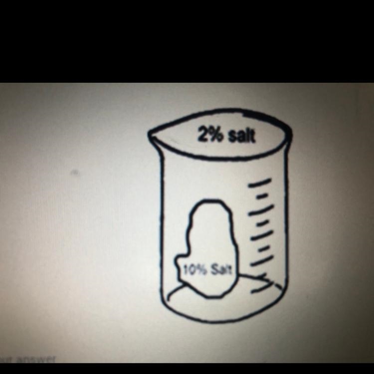 6. Study the beaker and its content in the diagram below. in what direction 2 points-example-1