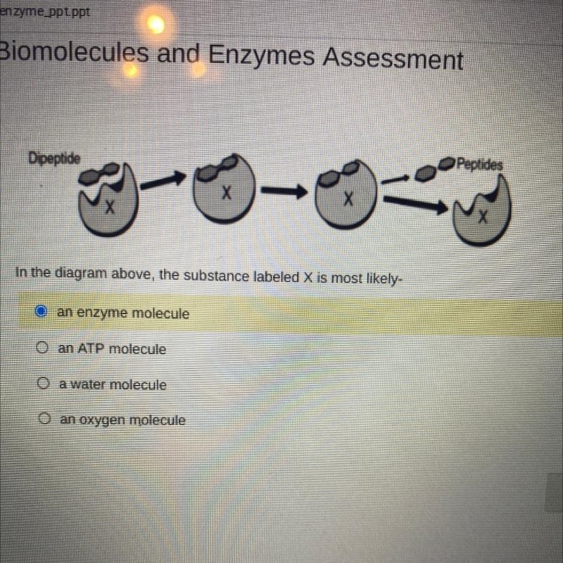 PLZ HELP ASAP. I DONT UNDERSTAND THIS-example-1