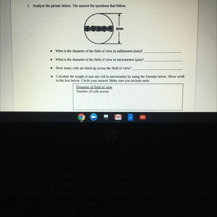 1. Analyze the picture below. The answer the questions that follow. 2mm • What is-example-1