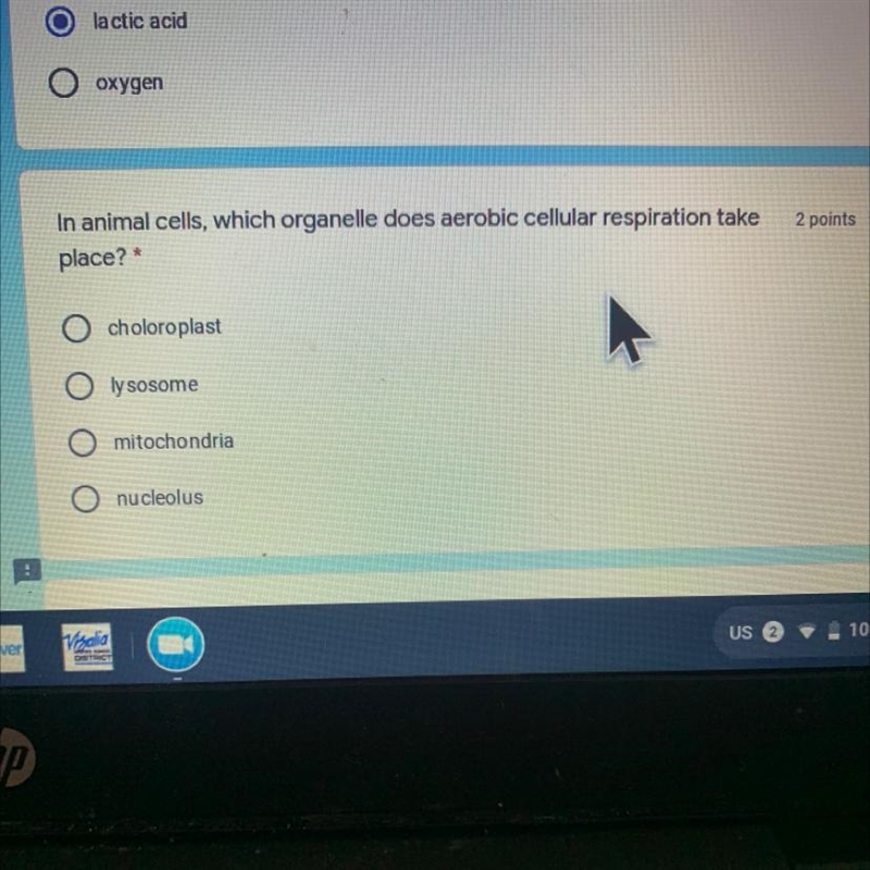 In animal cells, which organelle does aerobic cellular respiration take place?-example-1