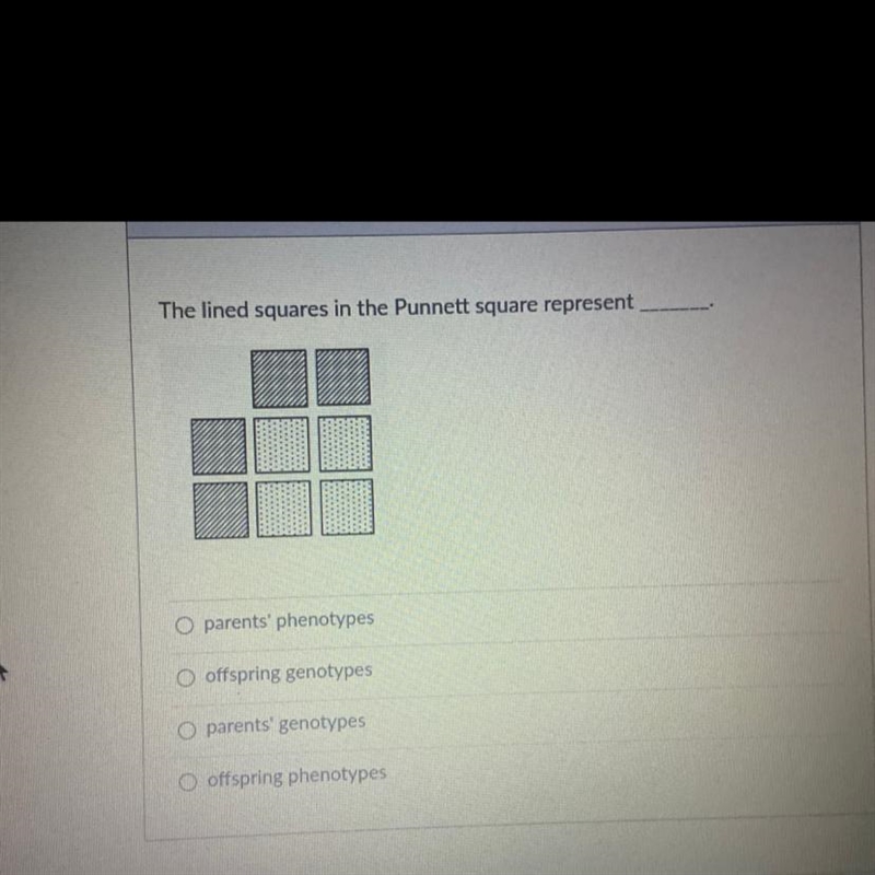 Which one is the correct answer?? The lined squares in the Punnett square represent-example-1