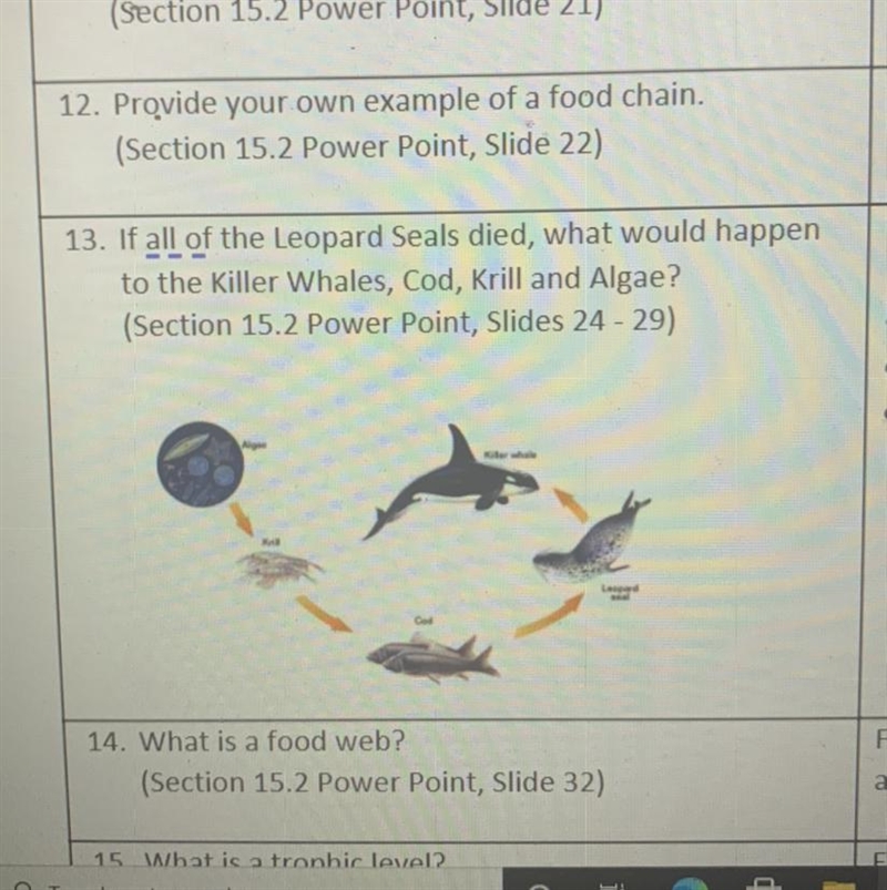 If all of the Leopard Seals died, what would happen to the Killer Whales, Cod, Krill-example-1