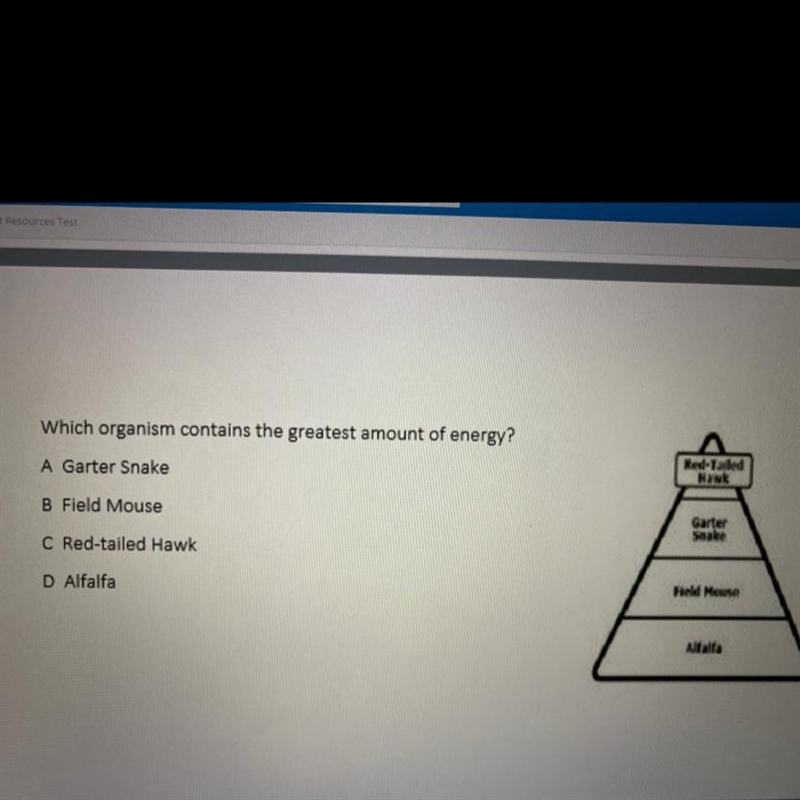 Which organism contains the greatest amount of energy? Re-Tailed Bank A Garter Snake-example-1