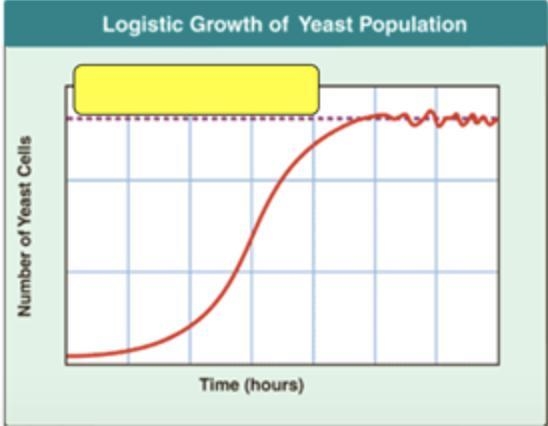 The yellow box is pointing out the dashed line drawn on the S shaped graph. This line-example-1