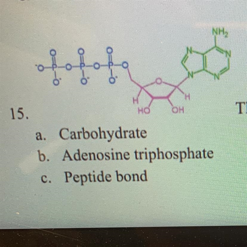 The image is an example of a. Carbohydrate b. Adenosine triphosphate c. Peptide bond-example-1