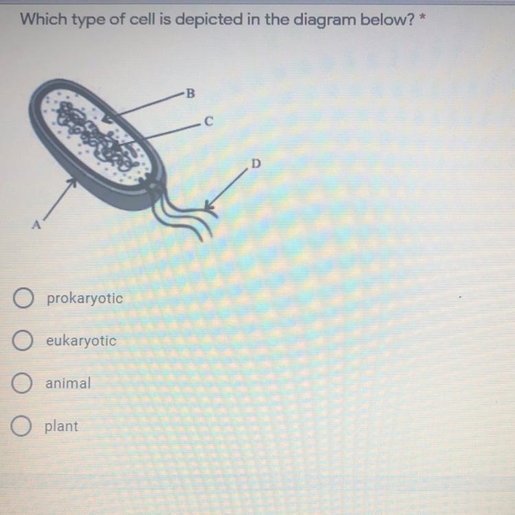 Can someone help me with this? If the answer is correct ill mark it as the best answer-example-1