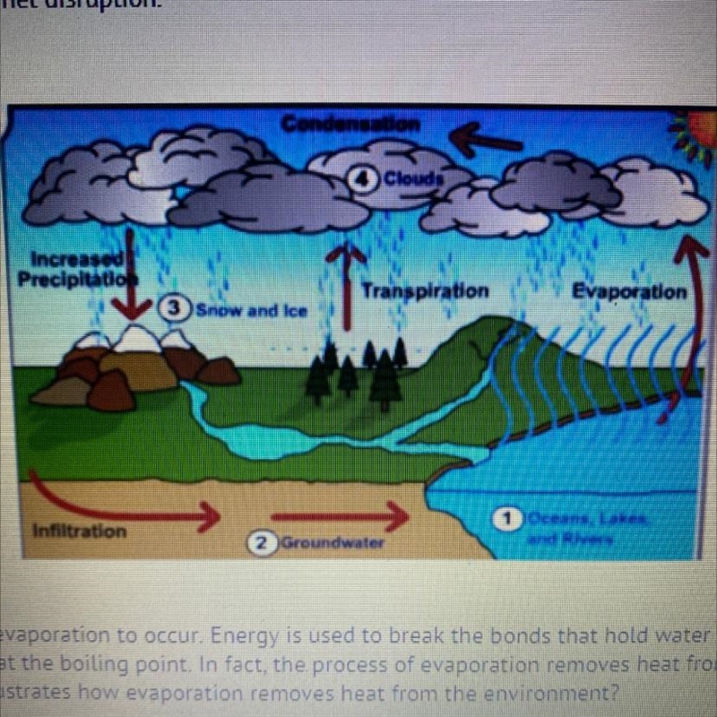 Heat energy is necessary for evaporation to occur Energy is used to break the bonds-example-1