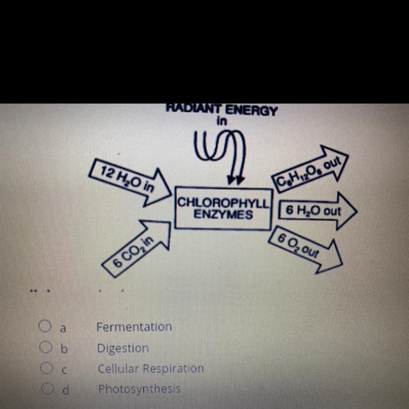 Which process is best illustrated by the diagram?-example-1