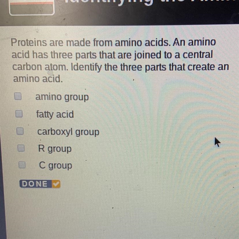 What are three parts that create an amino acid-example-1