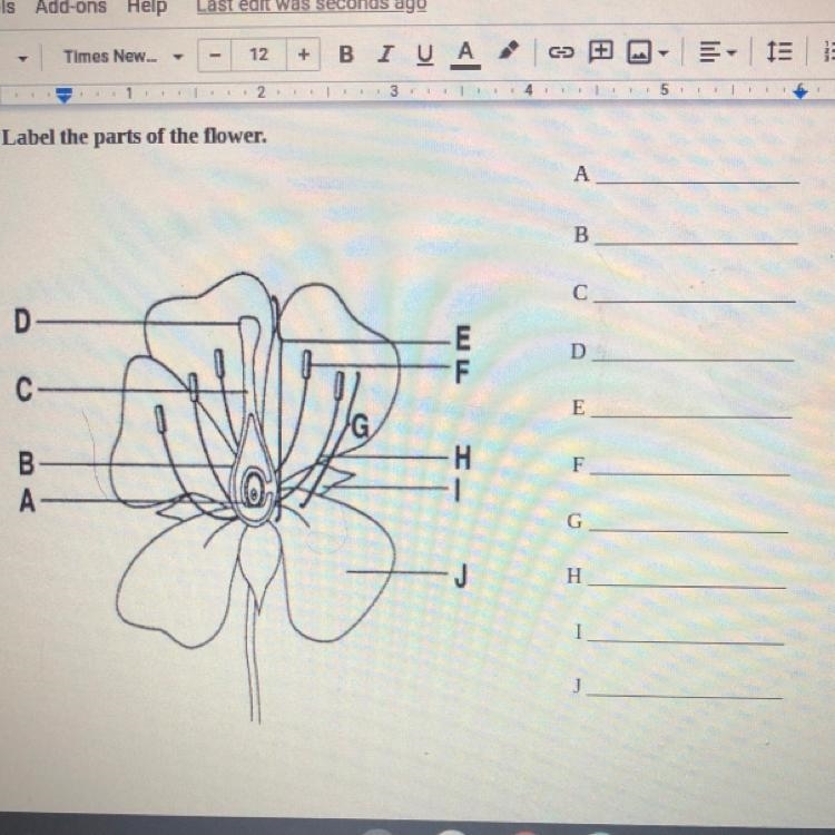 Label the parts of the flower.-example-1