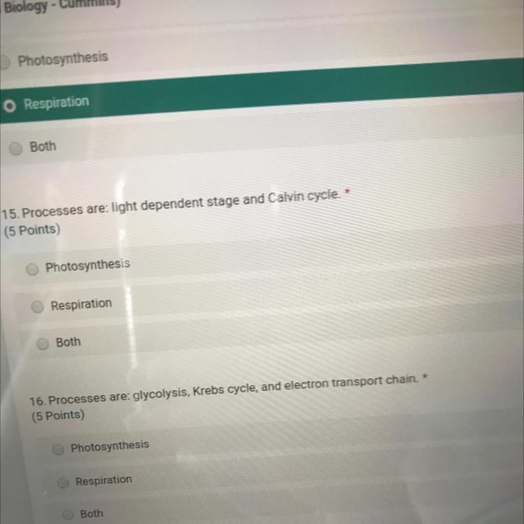 15. Processes are: light dependent stage and Calvin cycle. * (5 Points) Photosynthesis-example-1
