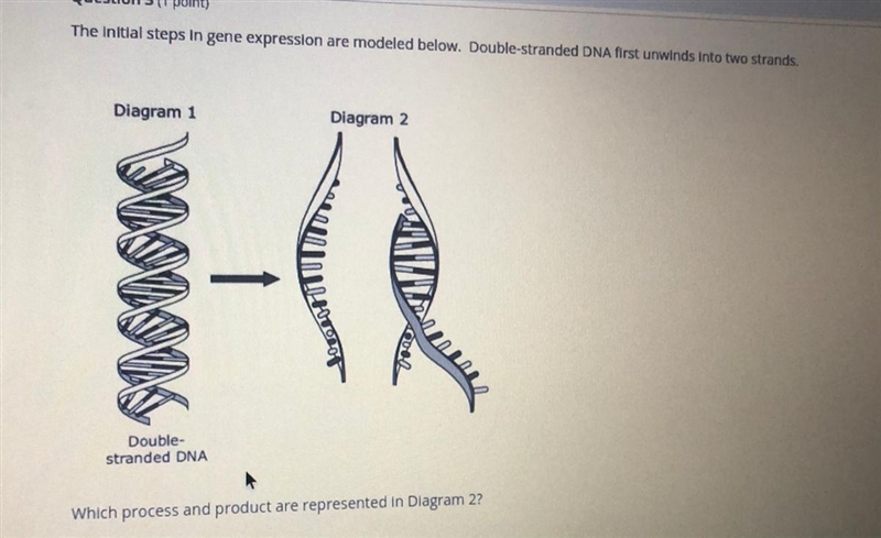 I need help on this question please!-example-1