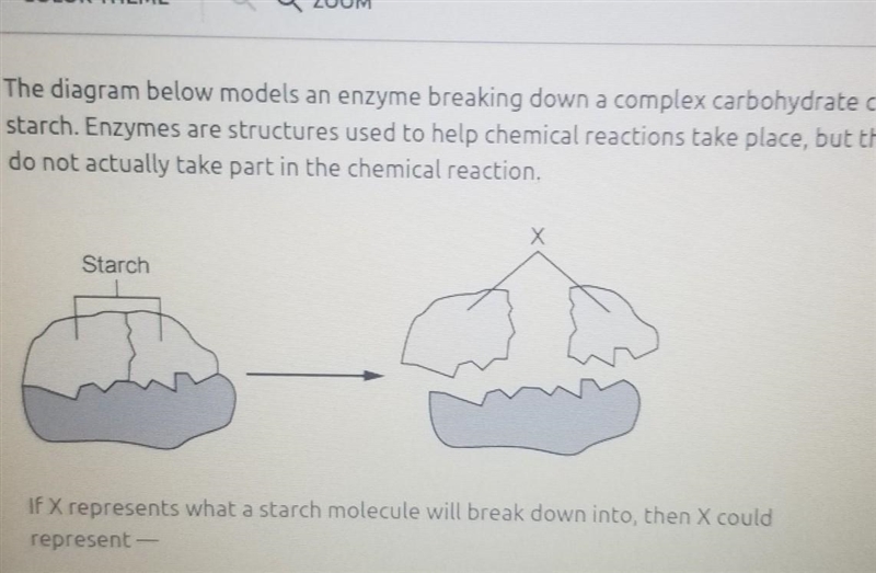 A. lipids b. protein c. fatty acids d. simple sugars​-example-1