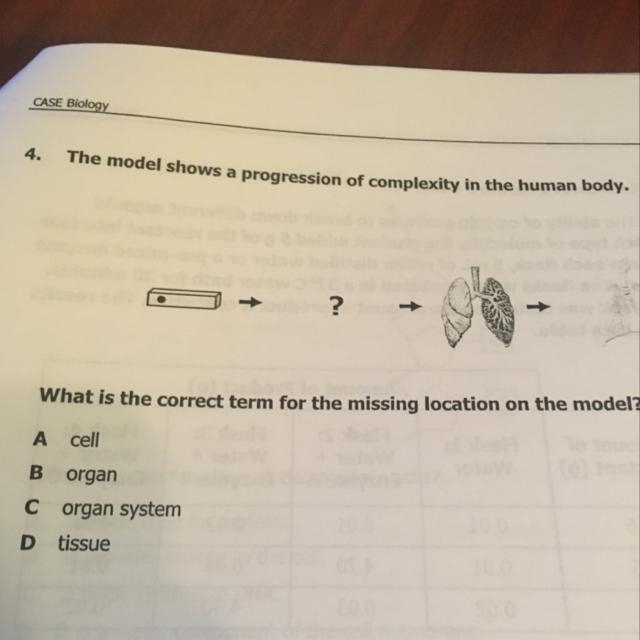 The model shows a progression of complexity in the human body. ? What is the correct-example-1