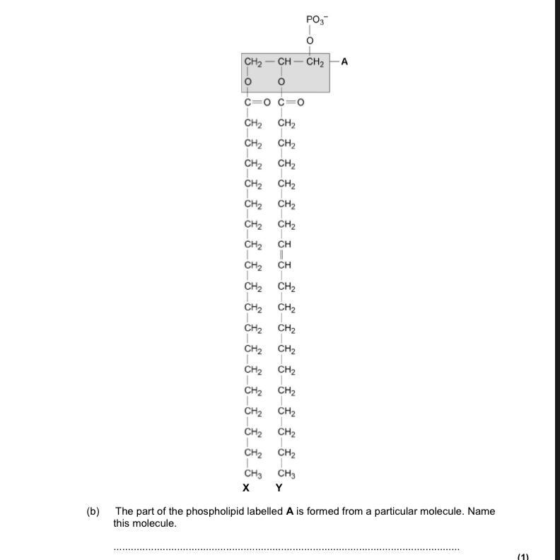 Please can someone help I’ll do anything:(-example-1